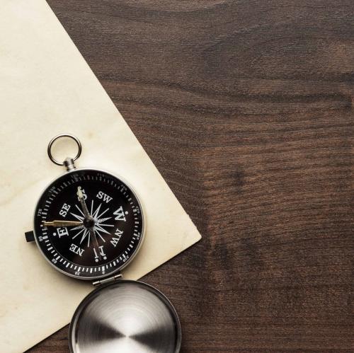 Navigating Organizational Change